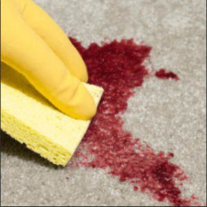 Carpet Cleaning Tips Vancouver, Wa.