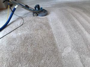 Carpet Cleaning Before and After Picture Vancouver, Wa.